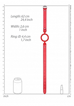 Silicone Ring Gag with Leather Straps