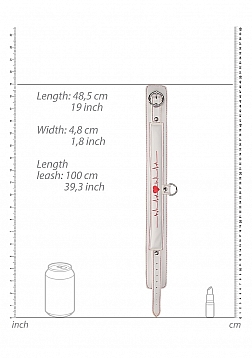 Collar With Leash - Nurse Theme - White..