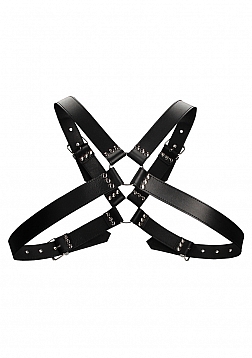 Leather Harness with Large Buckle - One Size