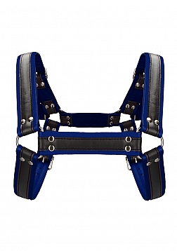 Leather Bulldog Harness with Buckles - S/M