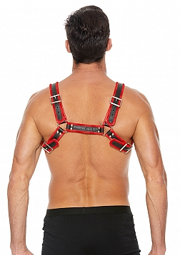 Leather Bulldog Harness with Buckles - L/XL
