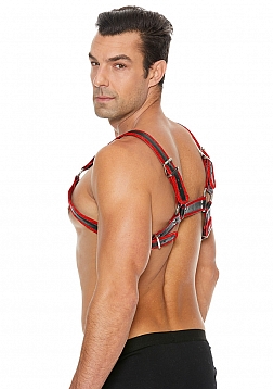 Leather Bulldog Harness with Buckles - S/M