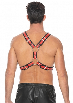 Scottish Leather Harness - L/XL