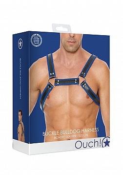 Leather Bulldog Harness with Buckles - L/XL