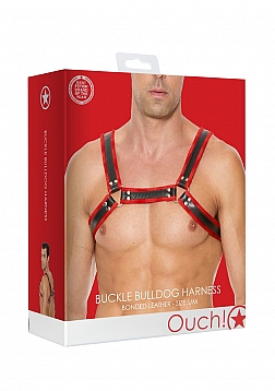 Leather Bulldog Harness with Buckles - S/M