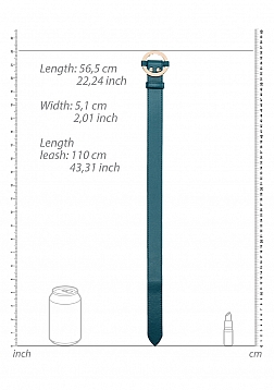 Luxurious Collar with Leash