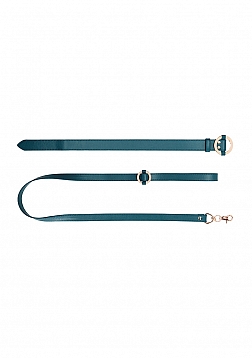 Luxurious Collar with Leash