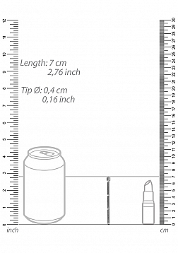 Beginner\'s Penis Plug - 0.2\