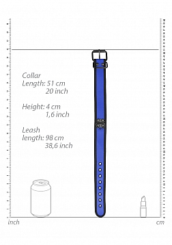 Neoprene Collar with Leash