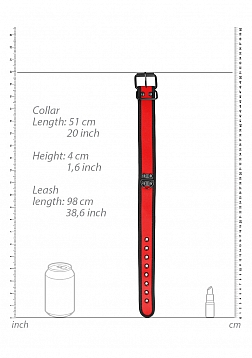 Neoprene Collar with Leash
