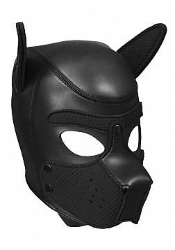 Neoprene Puppy Kit - L/XL