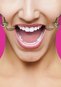 Hook Gag - Pink Hook Gag - Pink