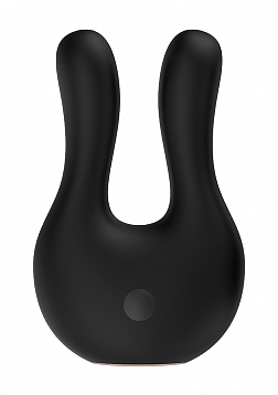 Dual Motor Clitoral Stimulator..