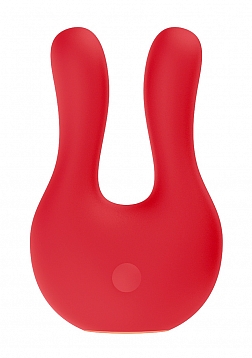 Dual Motor Clitoral Stimulator..