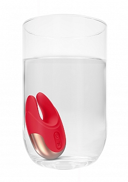 Dual Motor Clitoral Stimulator..